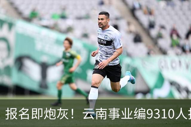 报名即炮灰！云南事业编9310人抢1个，报名费100元/人，该岗位考试费收了近70万